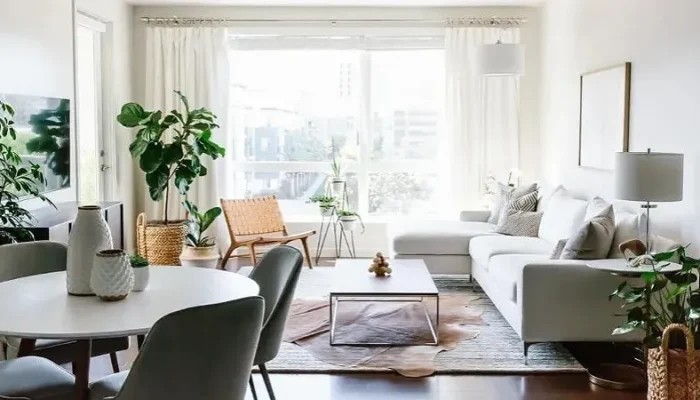 Rumah Sejuk Tak Harus Mahal, Optimalkan Cahaya Alami